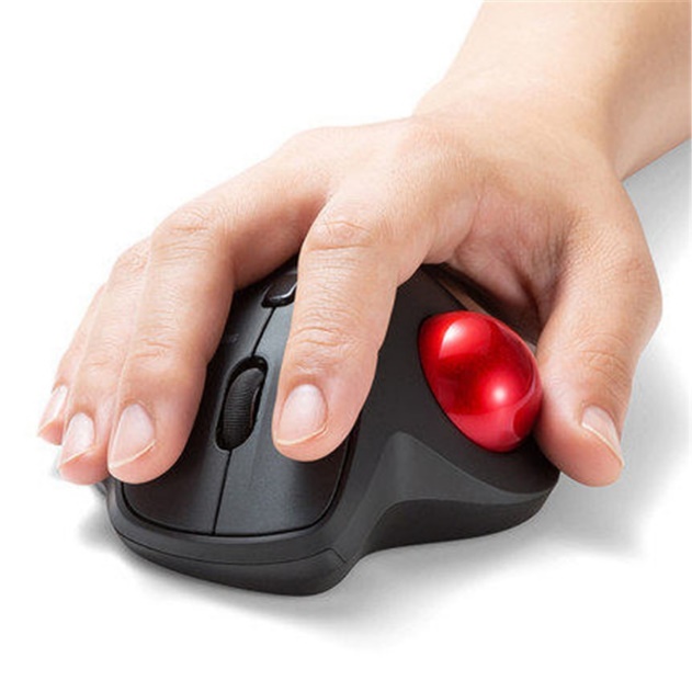 Example of trackball mouse