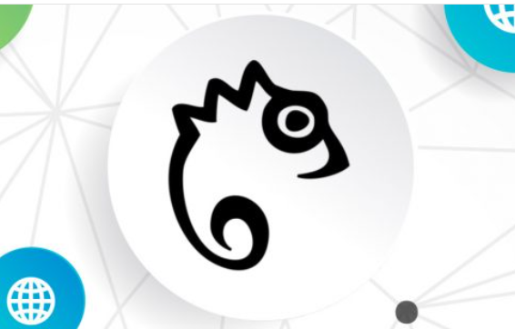 Image of EASY READING logo- the outline of a chameleon in black